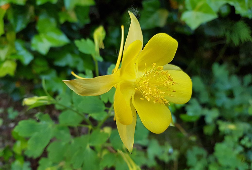 E’ stato diffuso l’ultimo numero della newsletter Ambiente Informa