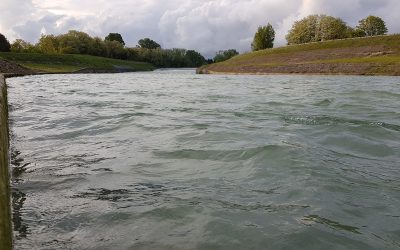 Consorzio di bonifica Brenta ha pubblicato il resoconto sull’attività 2015-2019