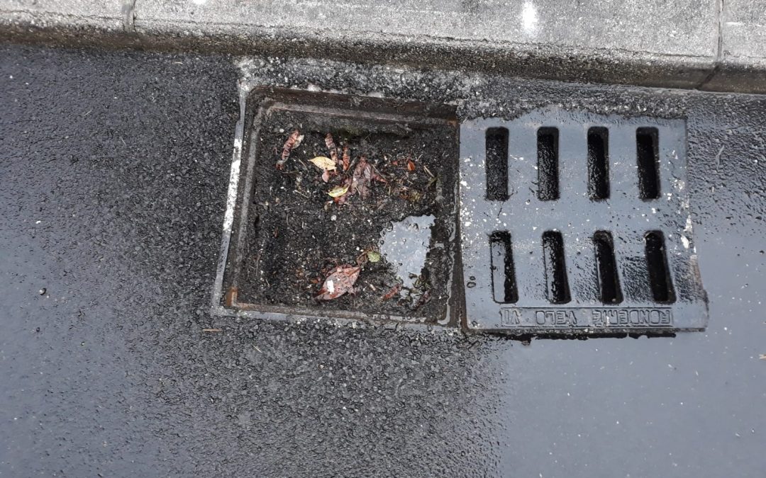 Sarà Acquevenete a mantenere pulite le caditoie nel territorio del Comune di Rovigo