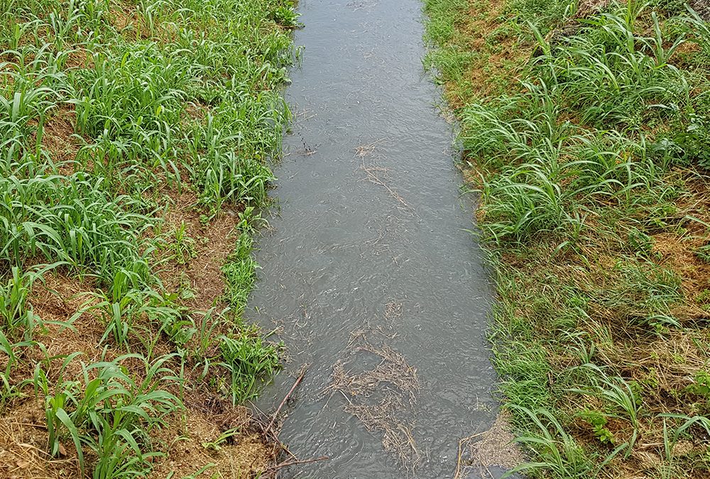 93 mila euro di investimenti per sistemare le scoline a Grumolo delle Abadesse