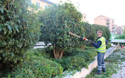 Continua a pieno ritmo a cura di Amia la manutenzione del verde pubblico a Verona