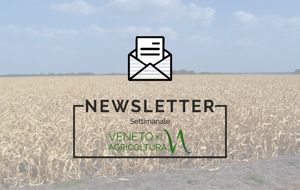 E’ uscita la nuova newsletter di Veneto Agricoltura