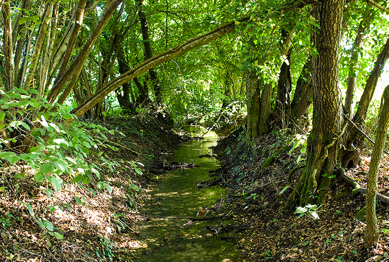 Nuova area di infiltrazione per la ricarica della falda a Stroppari di Tezze sul Brenta