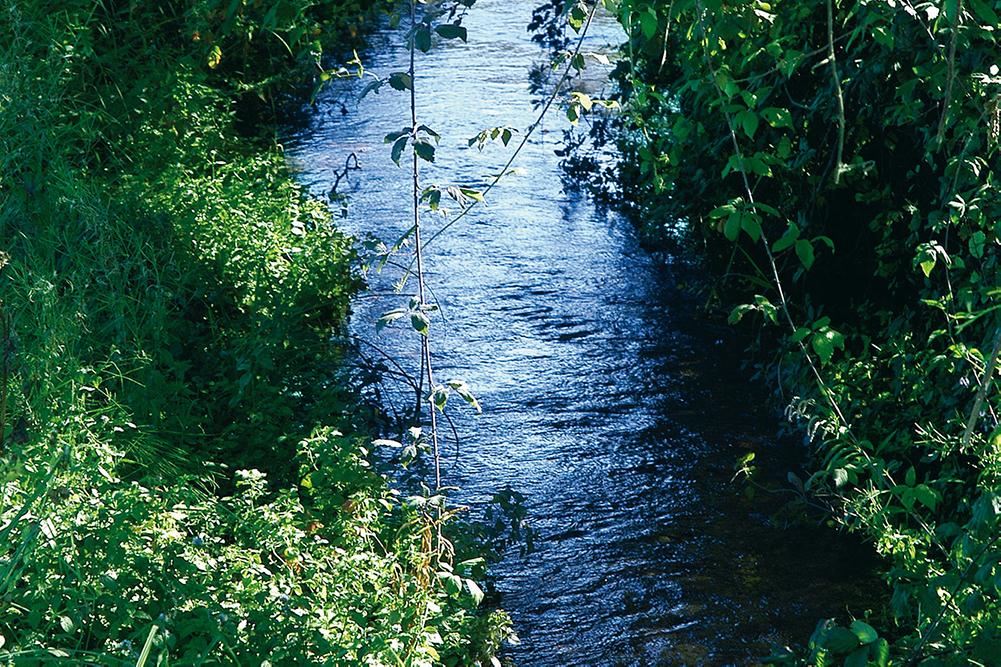 Domani sera incontro pubblico a Bressanvido per fare il punto sul “Progetto LIFE Risorgive”