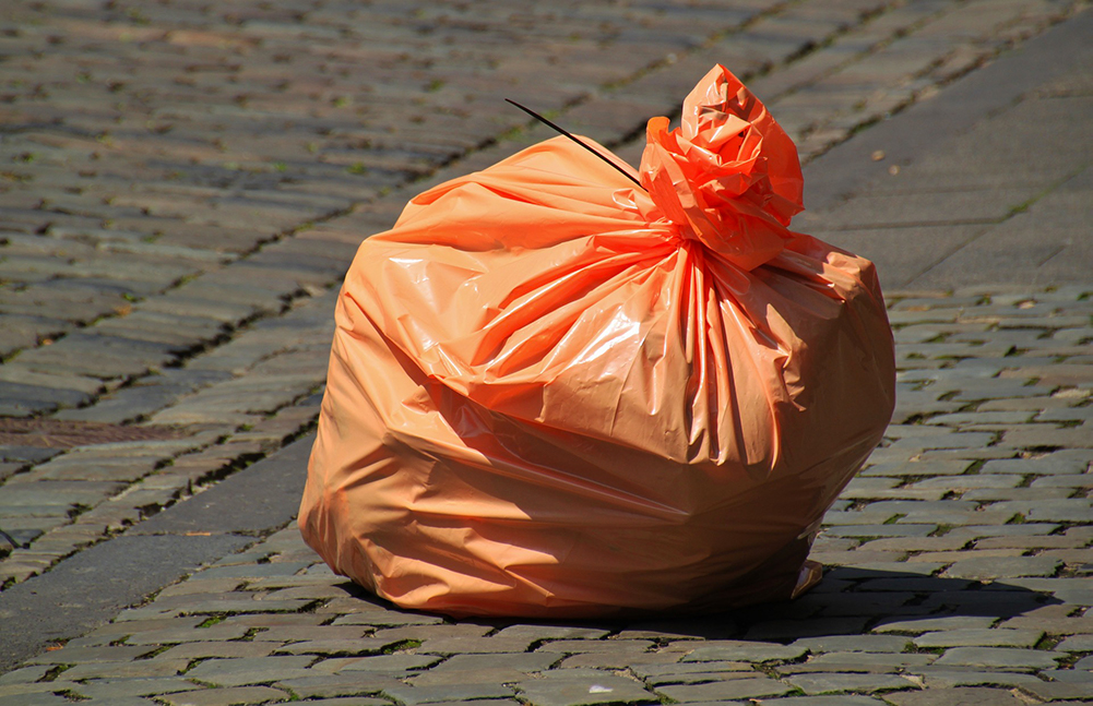 Sabato 12 ottobre giornata ecologica a Borgoricco con i ragazzi di “City for you”