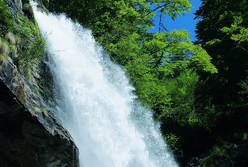 L’11 dicembre prossimo a Roma importante convegno su acqua, salute e ambiente