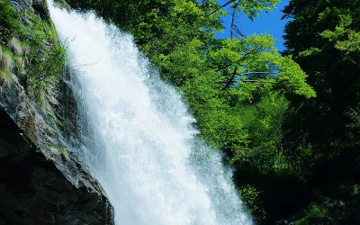 L’11 dicembre prossimo a Roma importante convegno su acqua, salute e ambiente
