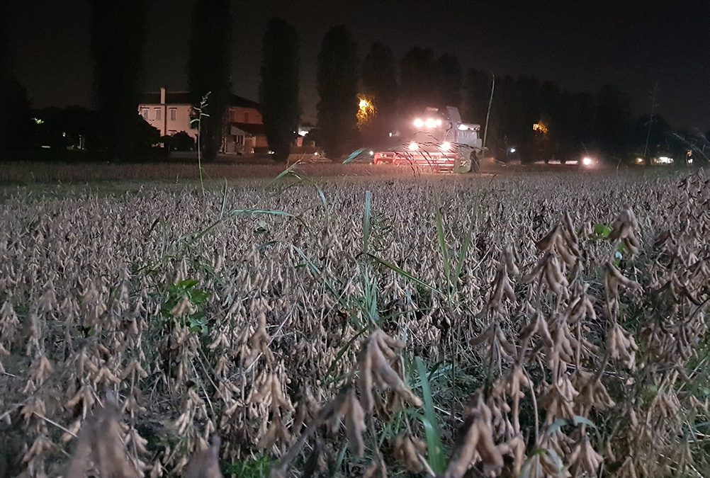 Sostenibilità e ambiente al centro del Piano di Sviluppo Rurale del Veneto
