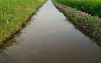 Il Consorzio di bonifica Bacchiglione mette in sicurezza lo scolo Fiumicello a Polverara e Legnaro