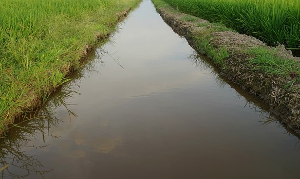 Il Consorzio di bonifica Bacchiglione mette in sicurezza lo scolo Fiumicello a Polverara e Legnaro
