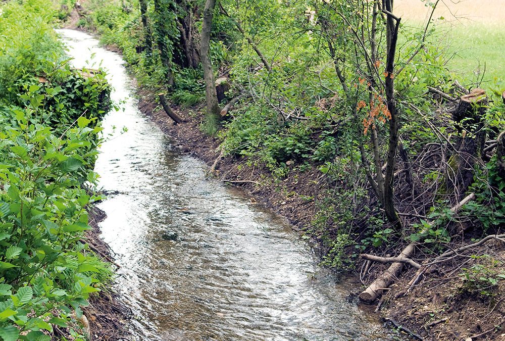 Presentata una nuova ricerca storica su alcune rogge derivate da fiume Brenta