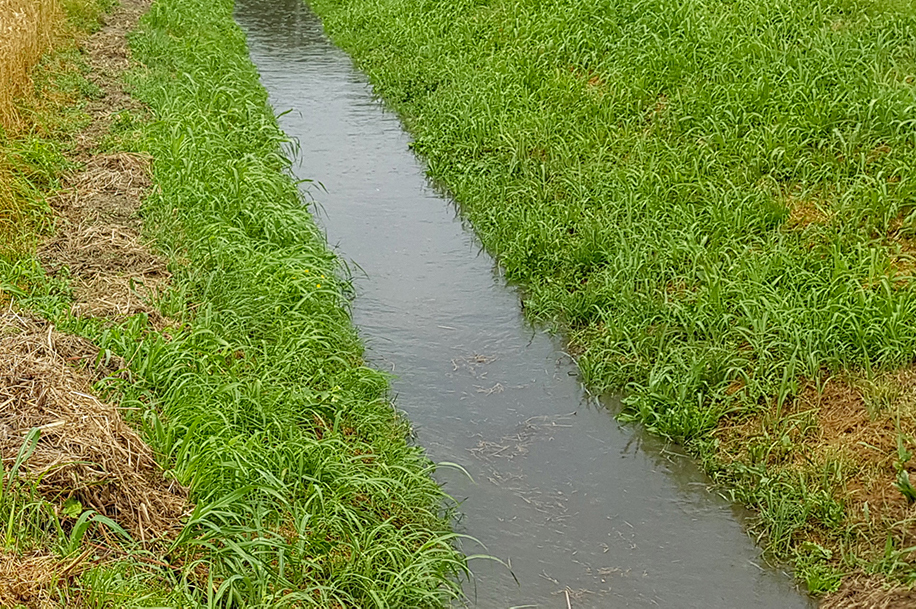 Consorzio di bonifica Brenta: i lavori conclusi e in corso per la sicurezza idraulica del territorio