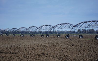 I consorzi di bonifica incontrano al Regione Veneto per parlare di riqualificazione irrigua