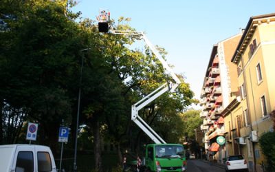 Gli interventi settimanali di Amia Verona per la potatura degli alberi