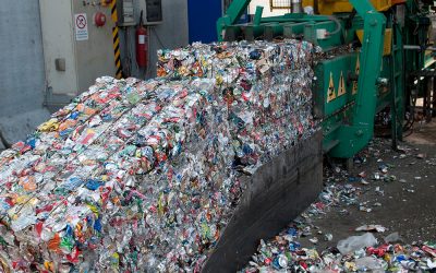 Domani a Roma sarà presentata l’edizione 2019 del “WAS Annual Report”