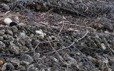 Individuati gli interventi necessari per la sicurezza idraulica del torrente Ponticello
