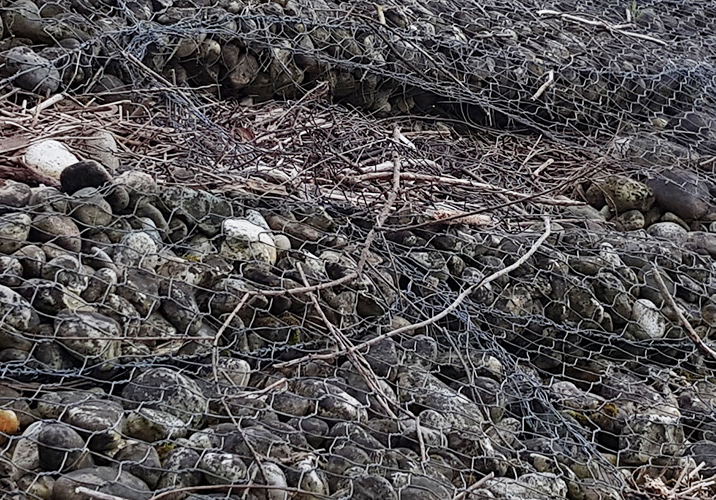 Individuati gli interventi necessari per la sicurezza idraulica del torrente Ponticello