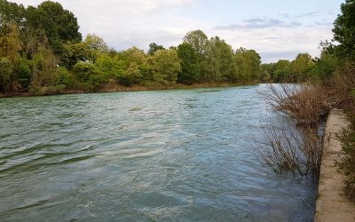 L’Arpav ha pubblicato un nuovo rapporto sulle acque superficiali venete