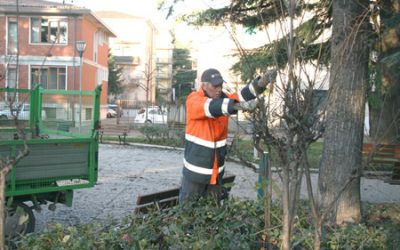 Amia Verona prosegue senza soste la manutenzione del verde pubblico