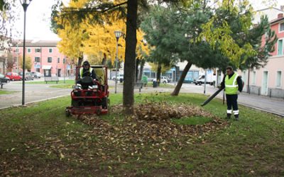 Continua a pieno ritmo la manutenzione del verde pubblico di Amia Verona
