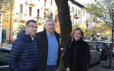 A Verona in via Nino Bixio interventi di messa in sicurezza degli alberi malati e pericolanti