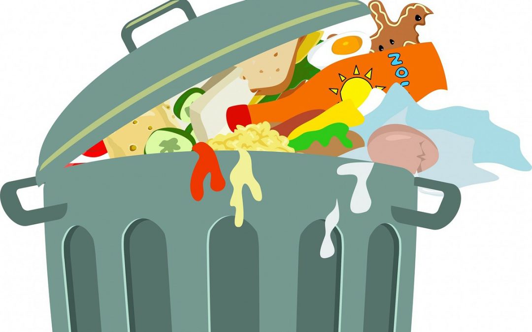 + cibo – spreco: il progetto di Etra contro lo spreco alimentare