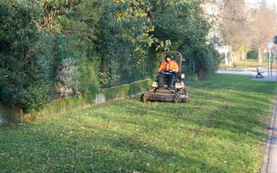 Amia Verona prosegue a pieno ritmo nella manutenzione del verde pubblico