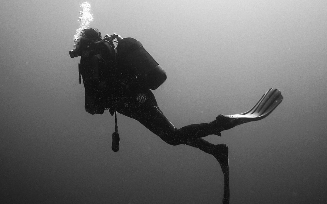 I gondolieri in immersione rimuovono 2 tonnellate e mezza di rifiuti dai canali di Venezia