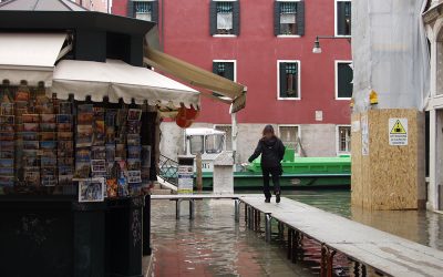 Il Comune di Venezia ha affidato molteplici servizi al Gruppo Veritas