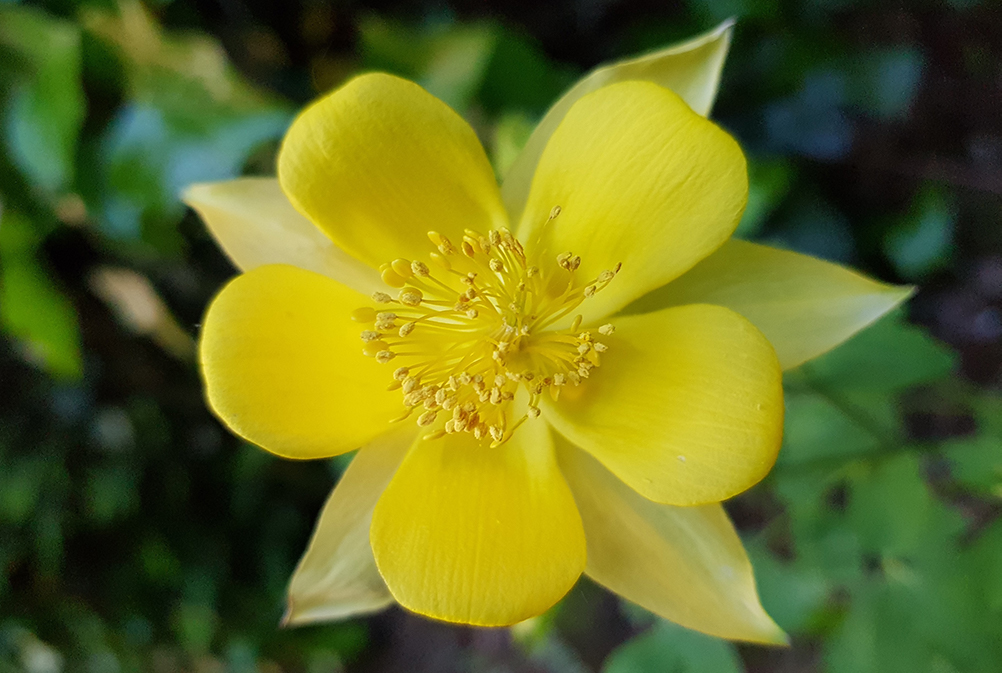 SNPA ha diffuso e resa disponibile on line l’ultimo numero della newsletter Ambiente Informa