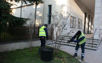 Ecco le aree dove in questi giorni Amia esegue la manutenzione del verde pubblico