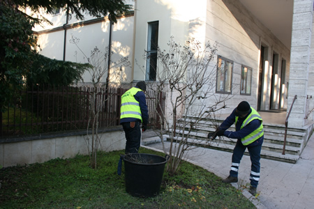 Ecco le aree dove in questi giorni Amia esegue la manutenzione del verde pubblico
