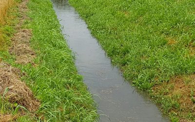 Il Consorzio di bonifica Brenta ha incontrato i cittadini del Comune di Torri di Quartesolo