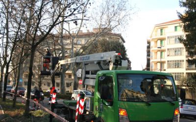 Proseguono senza soste gli interventi di potatura degli alberi di Amia Verona