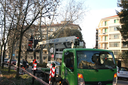 Proseguono senza soste gli interventi di potatura degli alberi di Amia Verona
