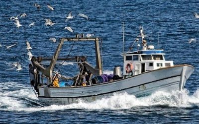 Col “Progetto ITACA” strumenti innovativi per la competitività e la sostenibilità della pesca