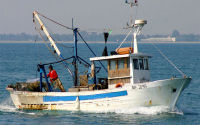 Grande rilevanza del Progetto ITACA per la tutela del mare Adriatico e della pesca