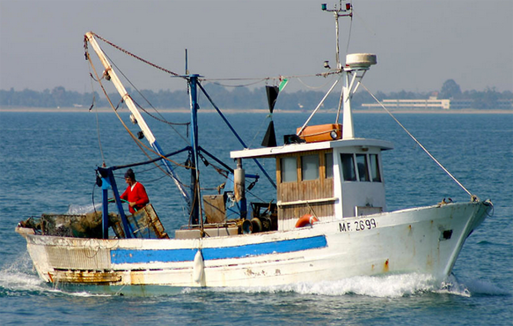 Grande rilevanza del Progetto ITACA per la tutela del mare Adriatico e della pesca