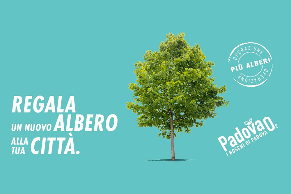 Progetto di riforestazione urbana PadovaO2: due nuovi boschi saranno inaugurati domani