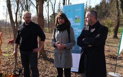 Operazione Più Alberi: da ieri 550 nuove piante a Padova Chiesanuova