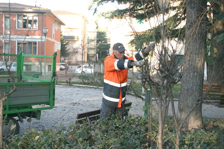 Numerosissimi gli interventi settimanali di manutenzione delle aree verdi di Verona