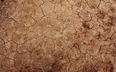 I cambiamenti climatici in mostra sul “TRENOverde” di Legambiente che a marzo sarà a Verona