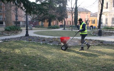Continua a pieno ritmo la manutenzione del verde pubblico di Amia Verona