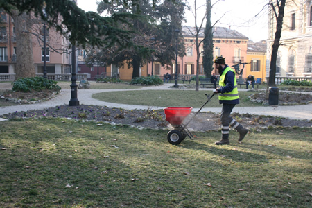 Continua a pieno ritmo la manutenzione del verde pubblico di Amia Verona