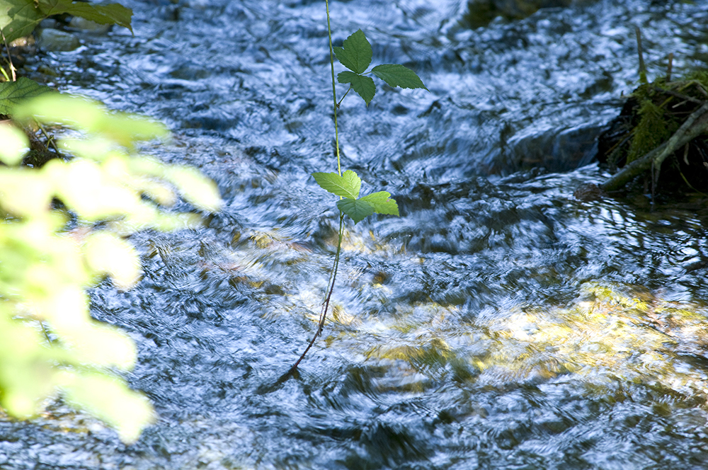 Il Consorzio Brenta ha annunciato la firma del documento d’intenti del Contratto di Risorgiva