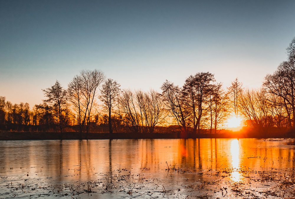 Concluso il recupero ambientale del laghetto del Parco dell’Amicizia a Tezze sul Brenta