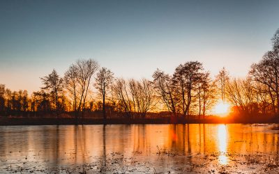 Concluso il recupero ambientale del laghetto del Parco dell’Amicizia a Tezze sul Brenta