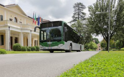 Approvato il Piano industriale per il triennio 2020/2022 di Mobilità di Marca
