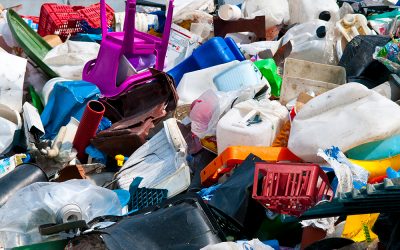 Su “Rinnovabili.it” uno studio svedese che ha individuato 30 mila enzimi capaci di mangiare 10 tipologie di plastica