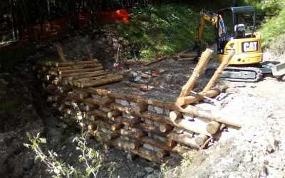 Opere di ripristino idraulico-ambientale sul monte Baldo a cura di Veneto Agricoltura